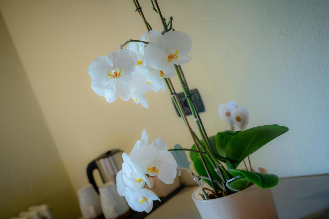 Villamour Boutique Hotel & Spa La Salle Εξωτερικό φωτογραφία
